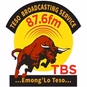 TBS The BULL logo