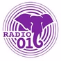 Naxi Radio 016 logo