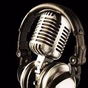 PunWoodradio logo