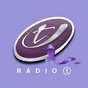 Rádio T Dois Vizinhos logo