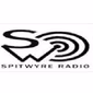 Region Radio - Spitwyre Radio logo