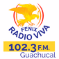 Radio Viva Fenix - Guachucal logo