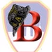 City Wide Fire Departement logo