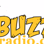 Buzz95 logo