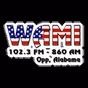 WAMI logo