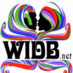 WIDB.NET The Remedy logo