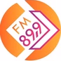 Страна FM logo