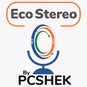 Eco Stereo logo