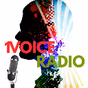 1Voice Radio logo