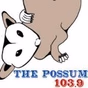 103.9 The Possum - W280EI logo