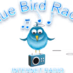 Blue Bird Radio One logo
