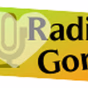 Radio Gorj logo