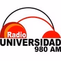 Universidad Nacional San Agustín logo