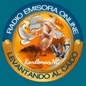 Radio Levantando al Caído logo