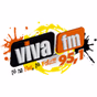 Rádio Viva 951 logo
