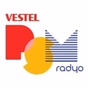 Karnaval - Vestel PSM Radyo logo