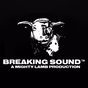 Breaking Sound Radio (BSR) logo