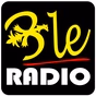 BLE Radio logo