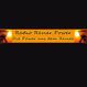 Radio Revier Power logo