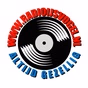Radio IJsvogel logo