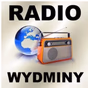 RADIO Wydminy 103.1 logo