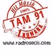 Radyo Seçil logo
