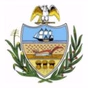 Allegany County Fire logo