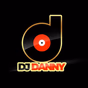 DJ Danny EDM Party logo