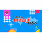 Radio Suara Mesuji logo