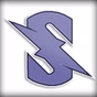 Teamstoned logo