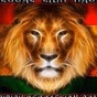 Radio Reggae Lion logo