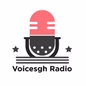 Voicesgh Radio logo