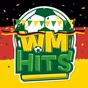 wm2014 logo
