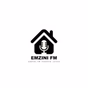 Emzini fm radio logo
