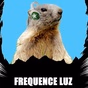 Frequence Luz logo