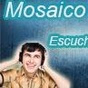 Radio Mosaico de Mi Tierra logo