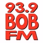93.9 Bob FM - WDRR logo