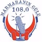 Dolunay Radyo logo