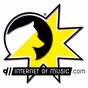 Internet Of Music logo