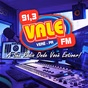 Vale FM 91.3 logo