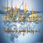 lluvia de fuego logo