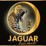 Jaguar Radio Shock logo
