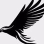 Nighthawk Radio logo