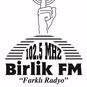 Birlik FM Radyo logo