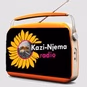 Kazi Njema Radio logo