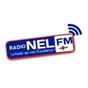 Radio Nel FM logo