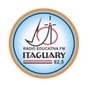Radio Itaguary FM logo