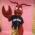 Hickory Crawdads Baseball Network logo