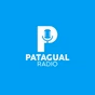 Radio Patagual logo