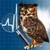 The Health Wyze Report logo